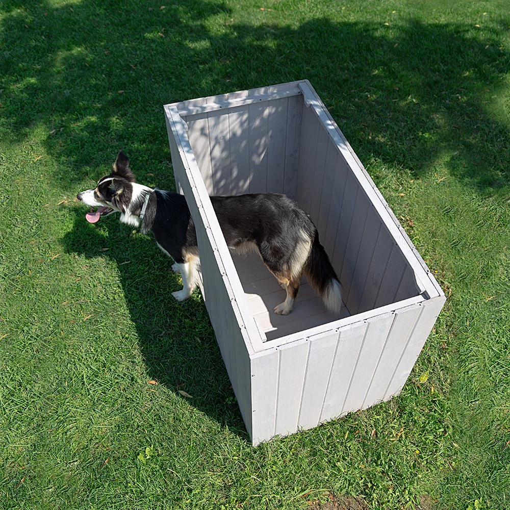 ARGO - Image 28