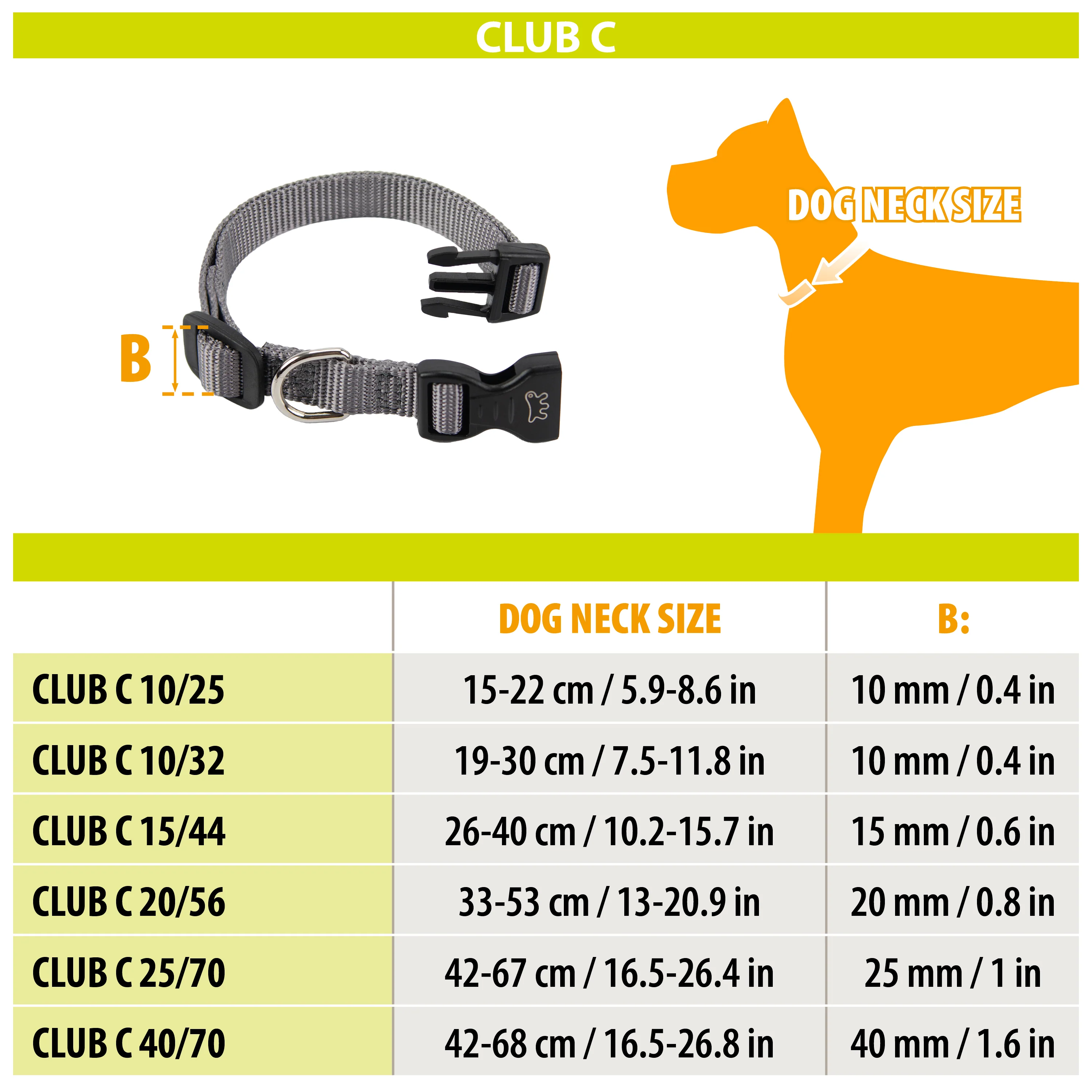 CLUB C - Image 17