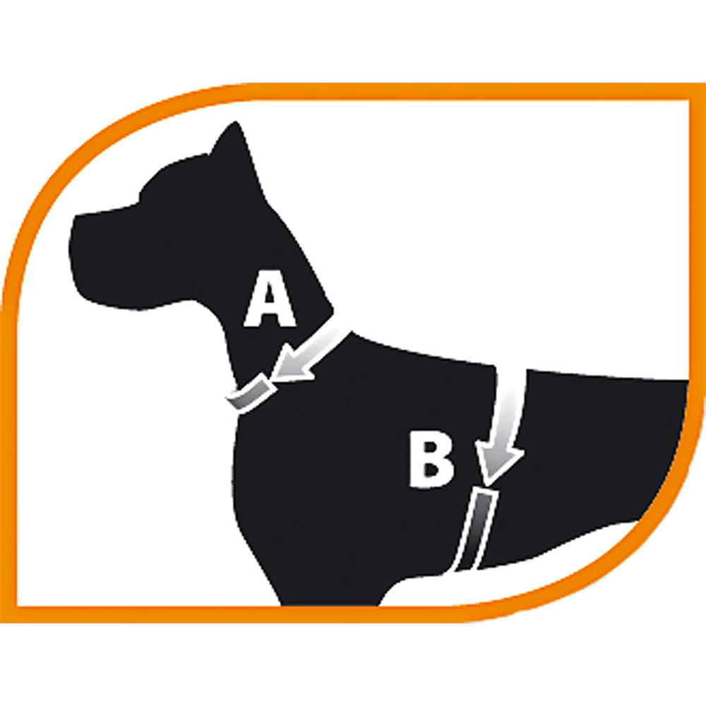 CRICKET P - Image 2