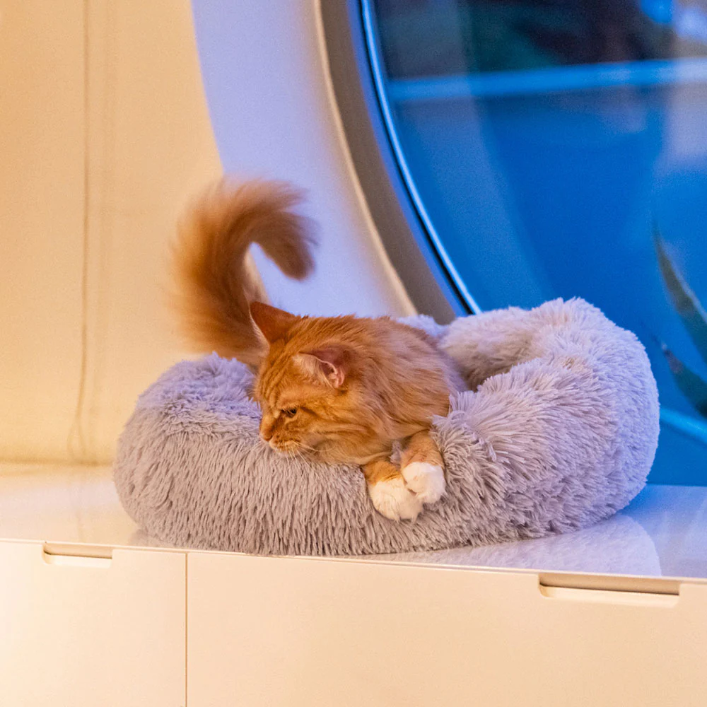 CUDDLY - Image 5