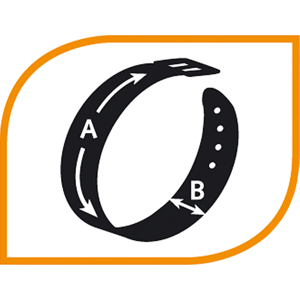 DAYTONA FANTASY CSS - Image 2