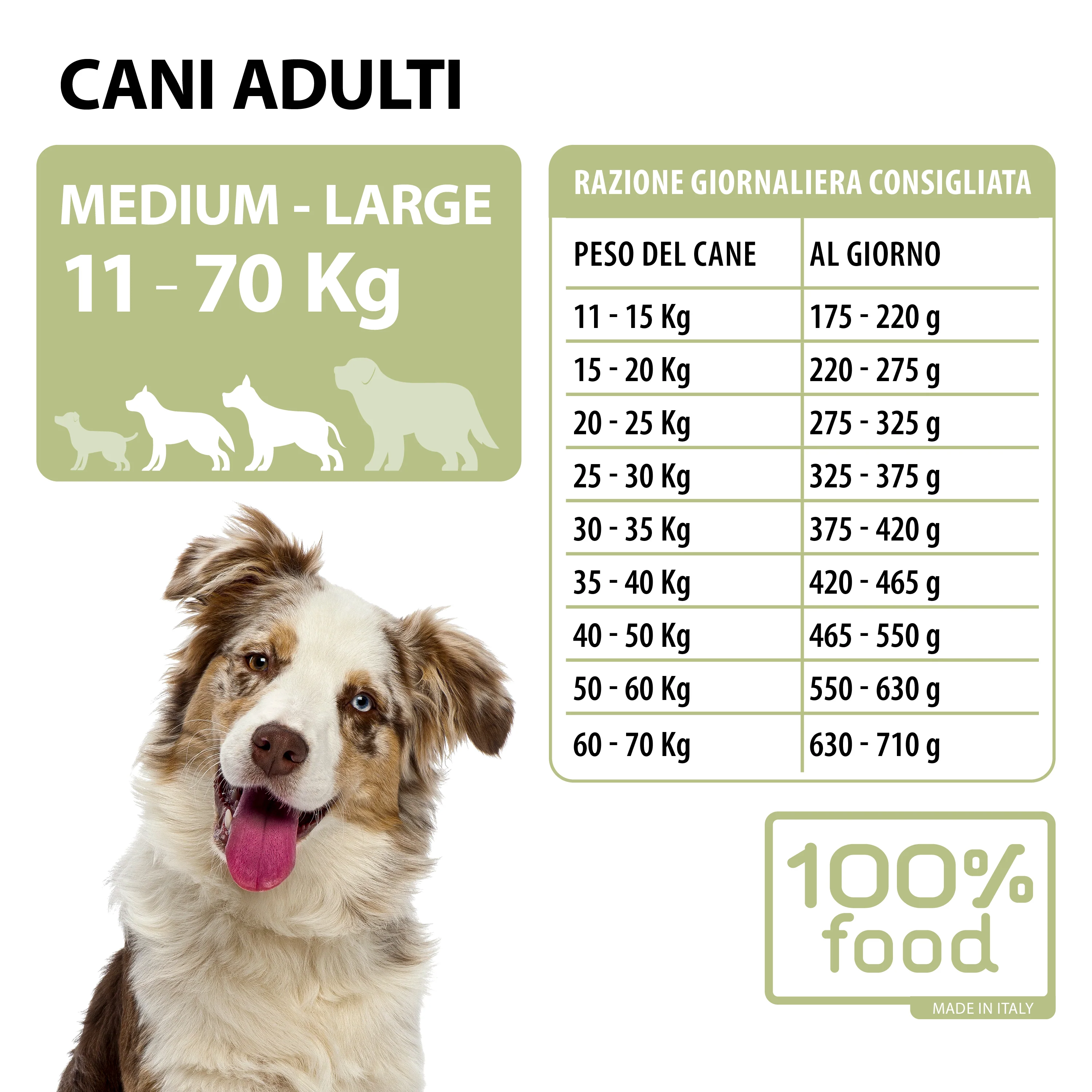 Crocchette per cani adulti Medium & Large – Agnello con Riso – 10 kg - Image 2