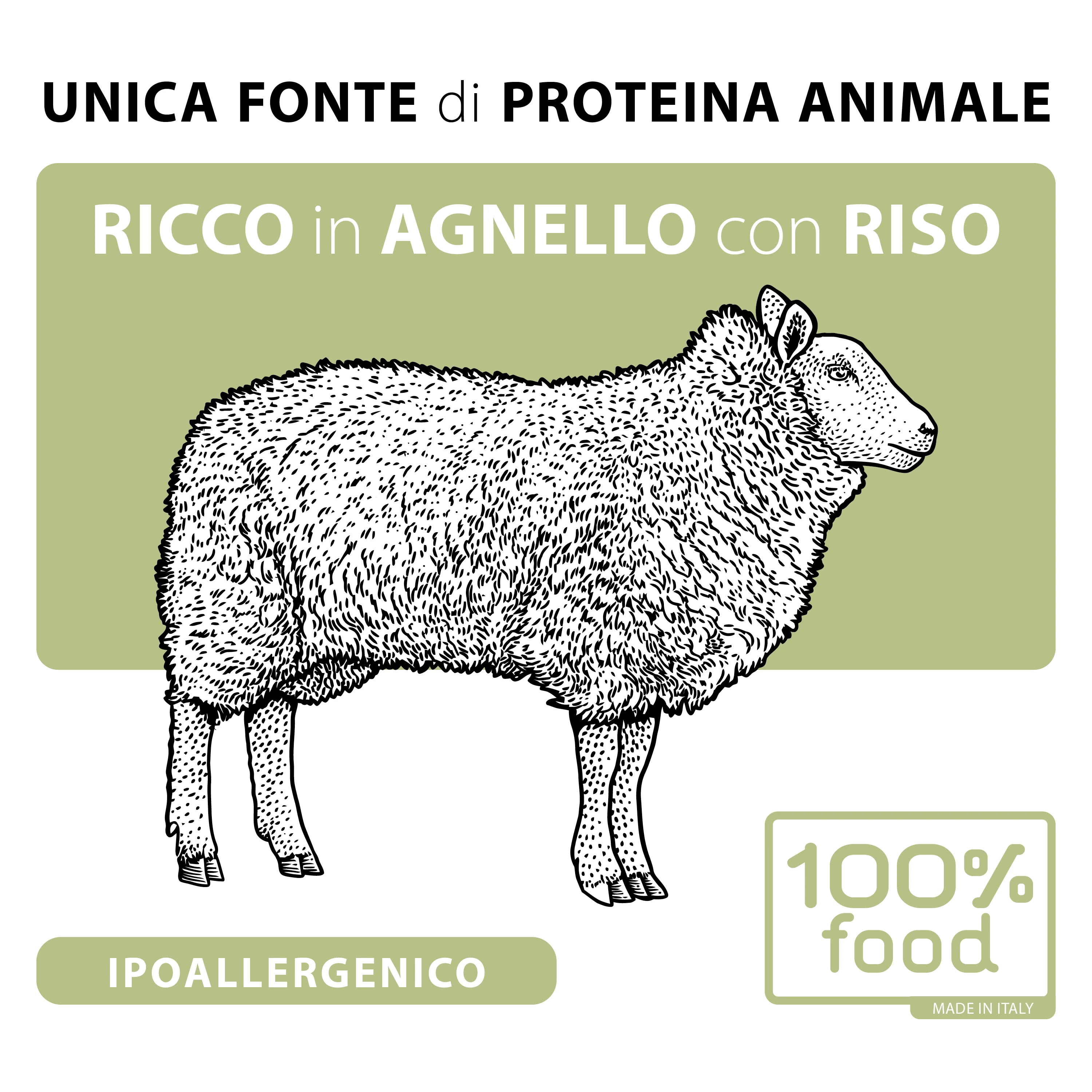 Crocchette per cani adulti Medium & Large – Agnello con Riso – 10 kg - Image 3