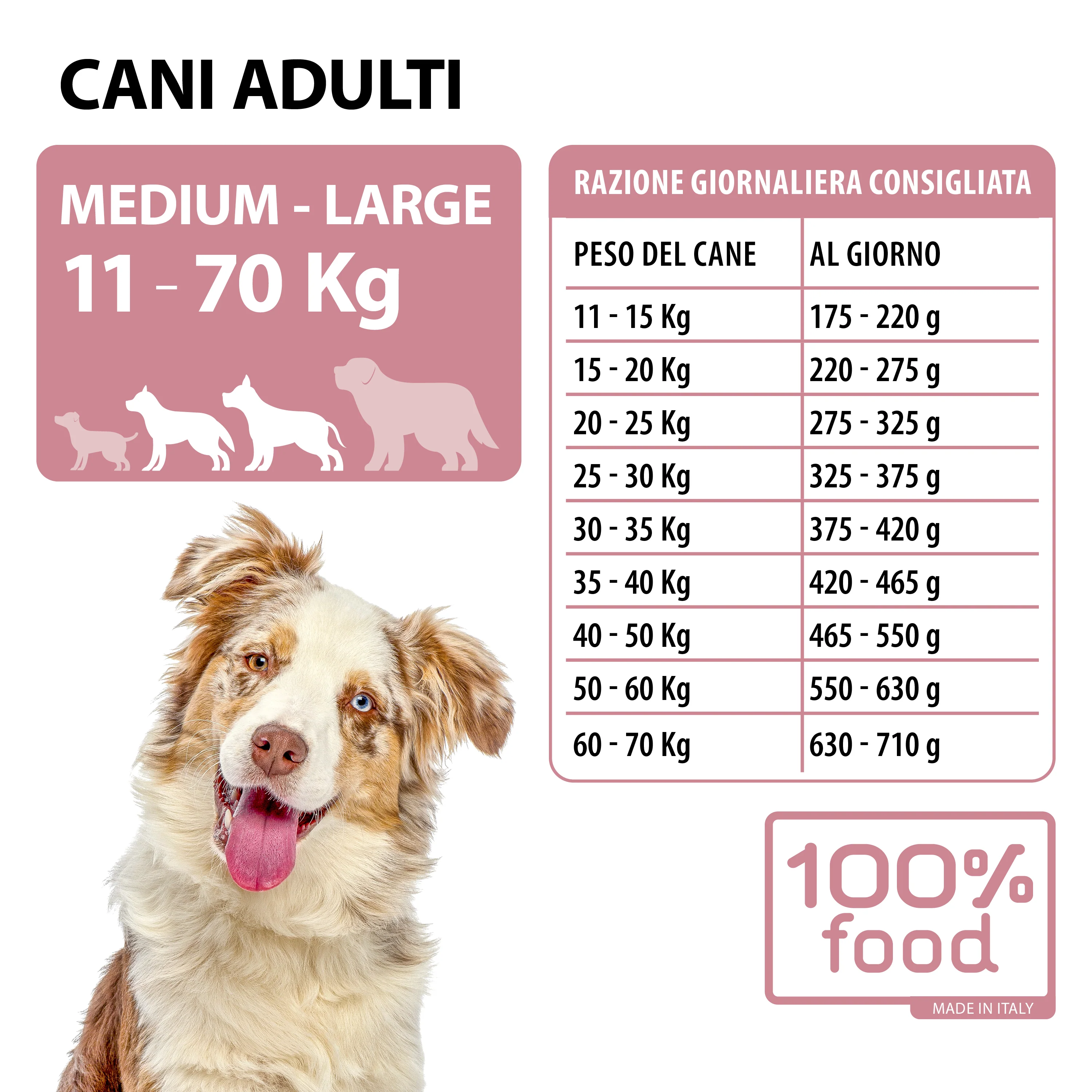 Crocchette per cani adulti Medium & Large – Maiale con Riso – 10 kg - Image 2