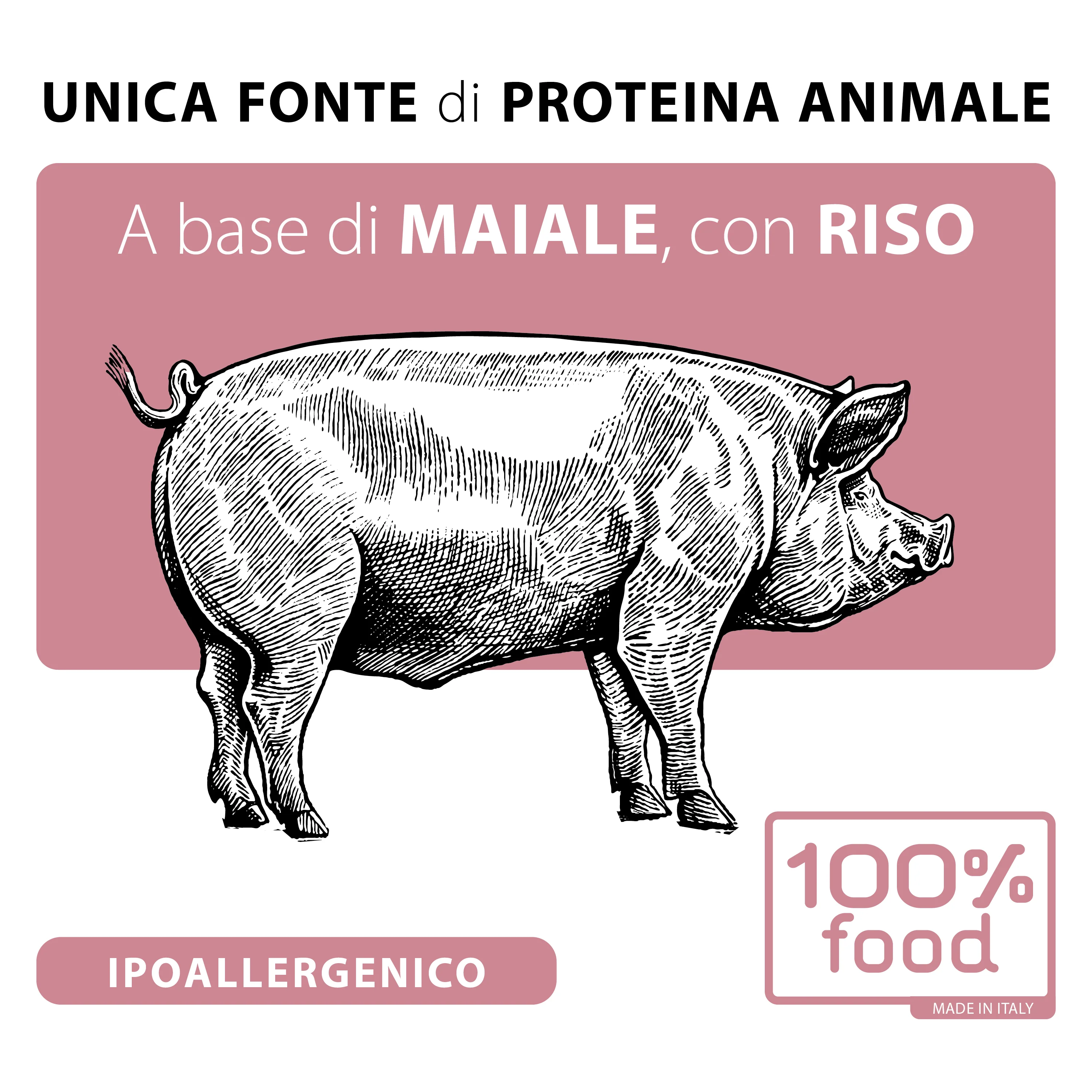 Crocchette per cani adulti Small – Maiale con Riso – 2 kg - Image 3