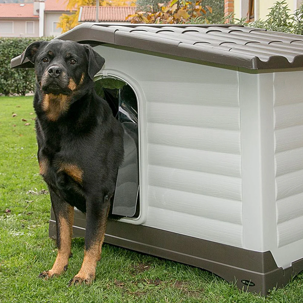 DOGVILLA - Image 24