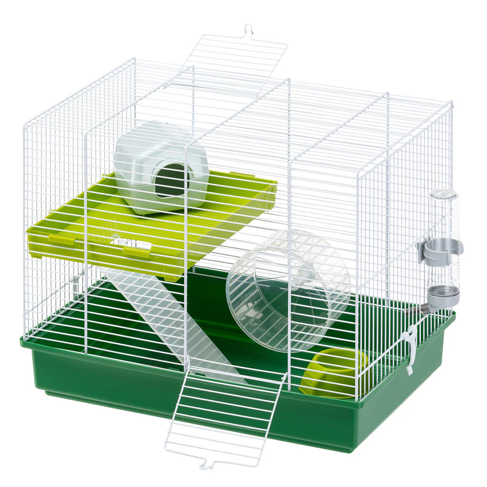 Miniatura 2