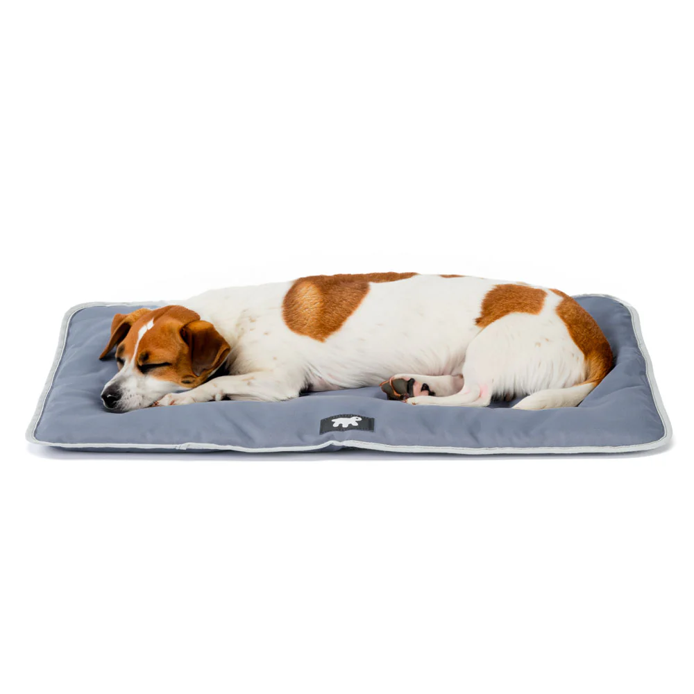 JOLLY - Image 28