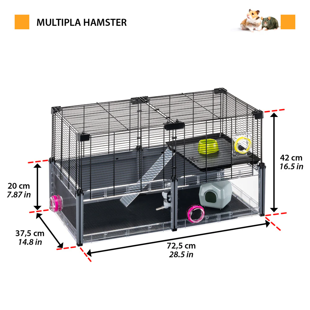 MULTIPLA HAMSTER - Image 2