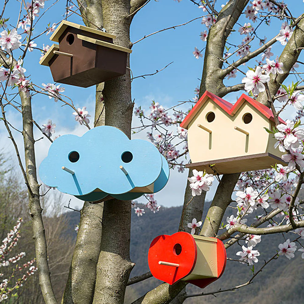 NEST FUN 5 - Image 2