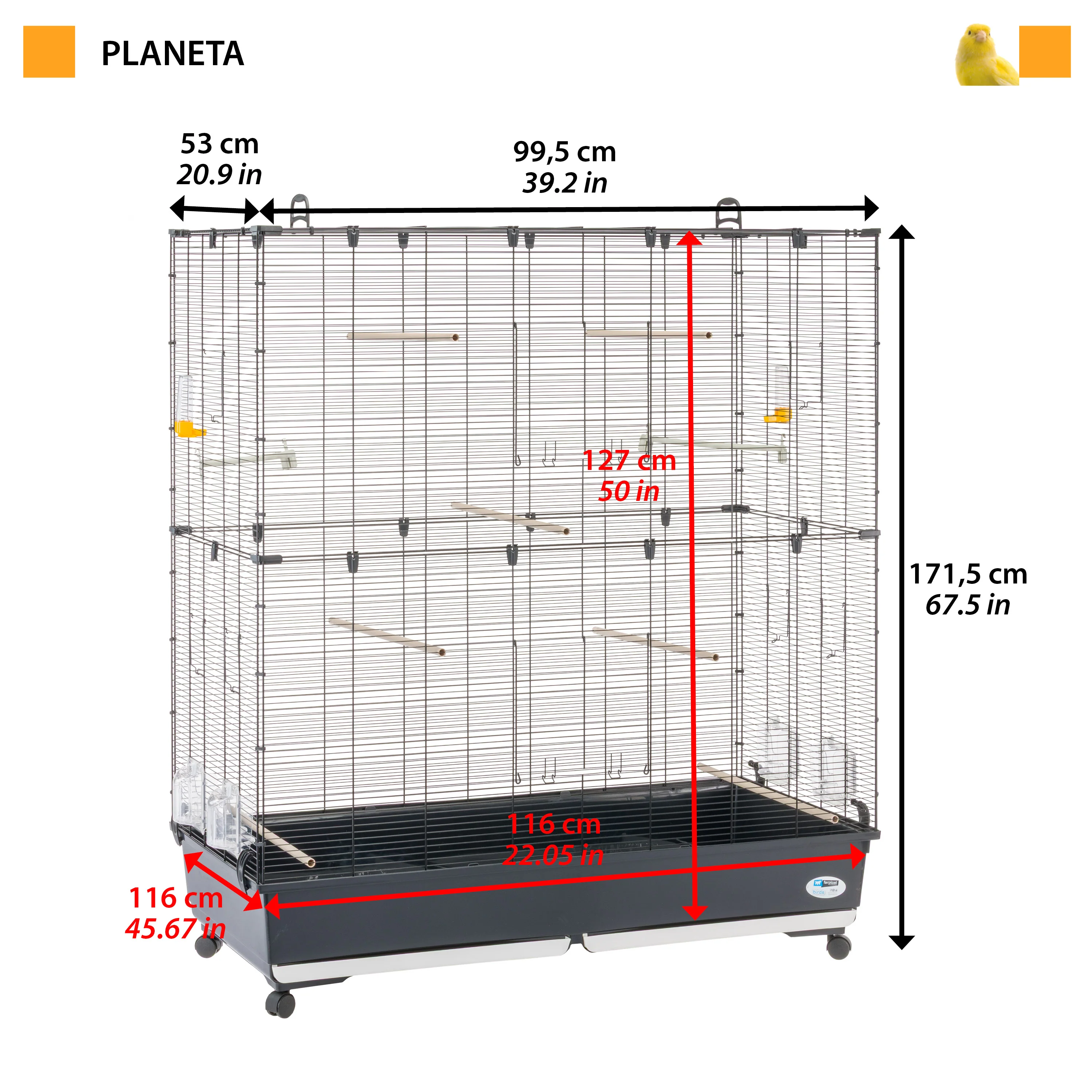 PLANETA LARGE - Image 2