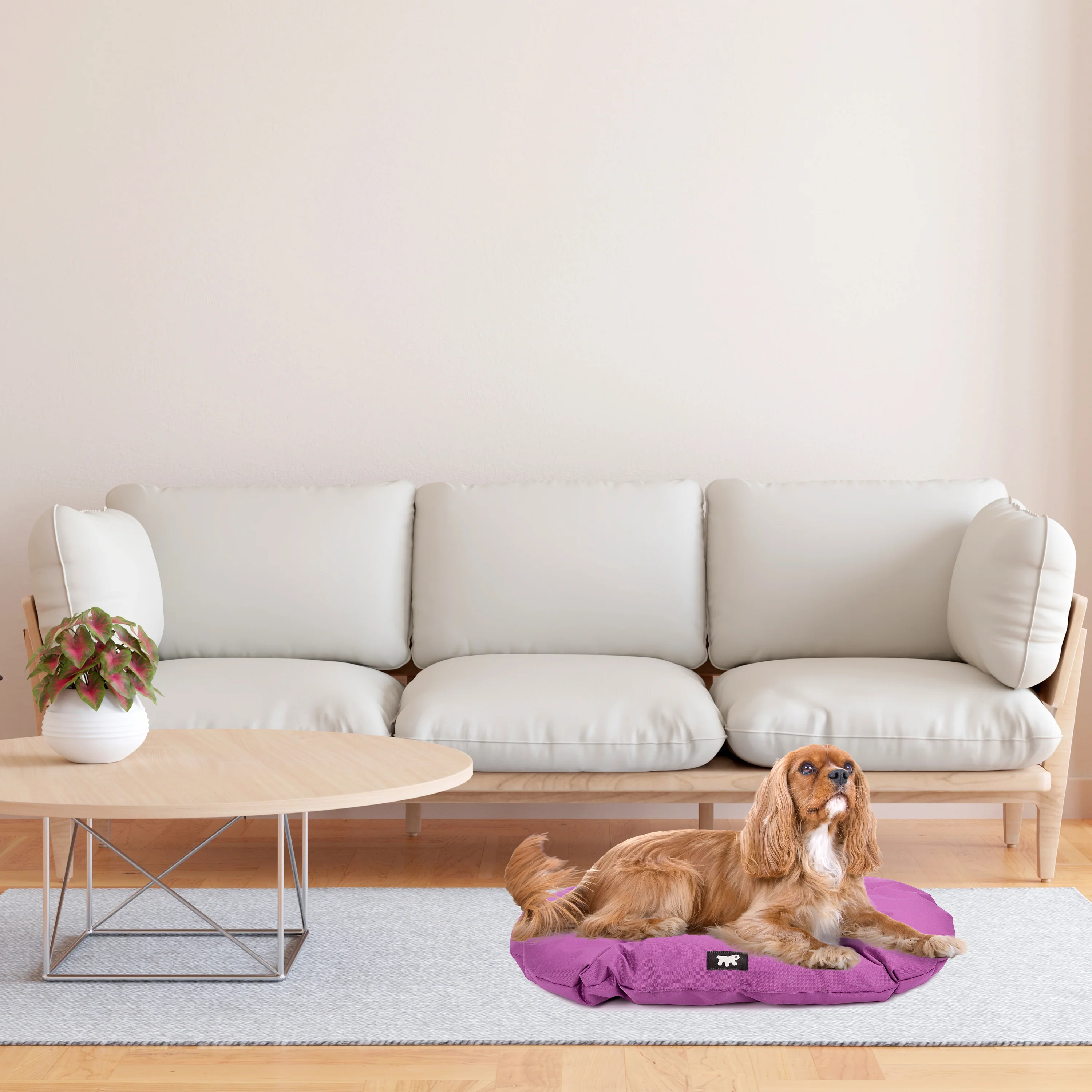 RELAX TECH - Image 45