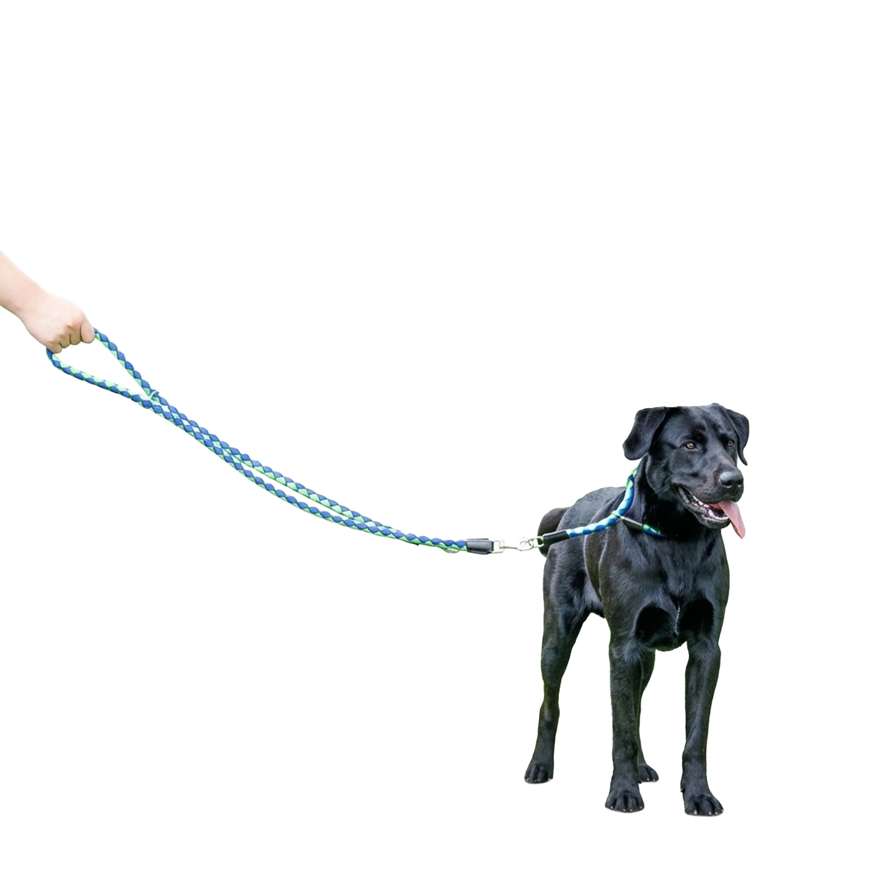 TWIST GA - Image 27